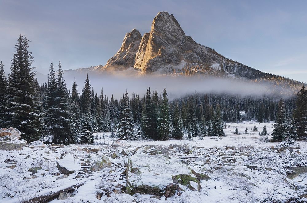 Fresh autumn snow on Liberty Bell Mountain and meadows of Washington State Pass art print by Alan Majchrowicz for $57.95 CAD